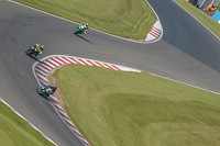 Middle Group Green Bikes